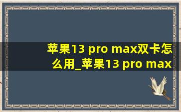 苹果13 pro max双卡怎么用_苹果13 pro max双卡只有一个卡支持5g流量么